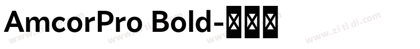 AmcorPro Bold字体转换